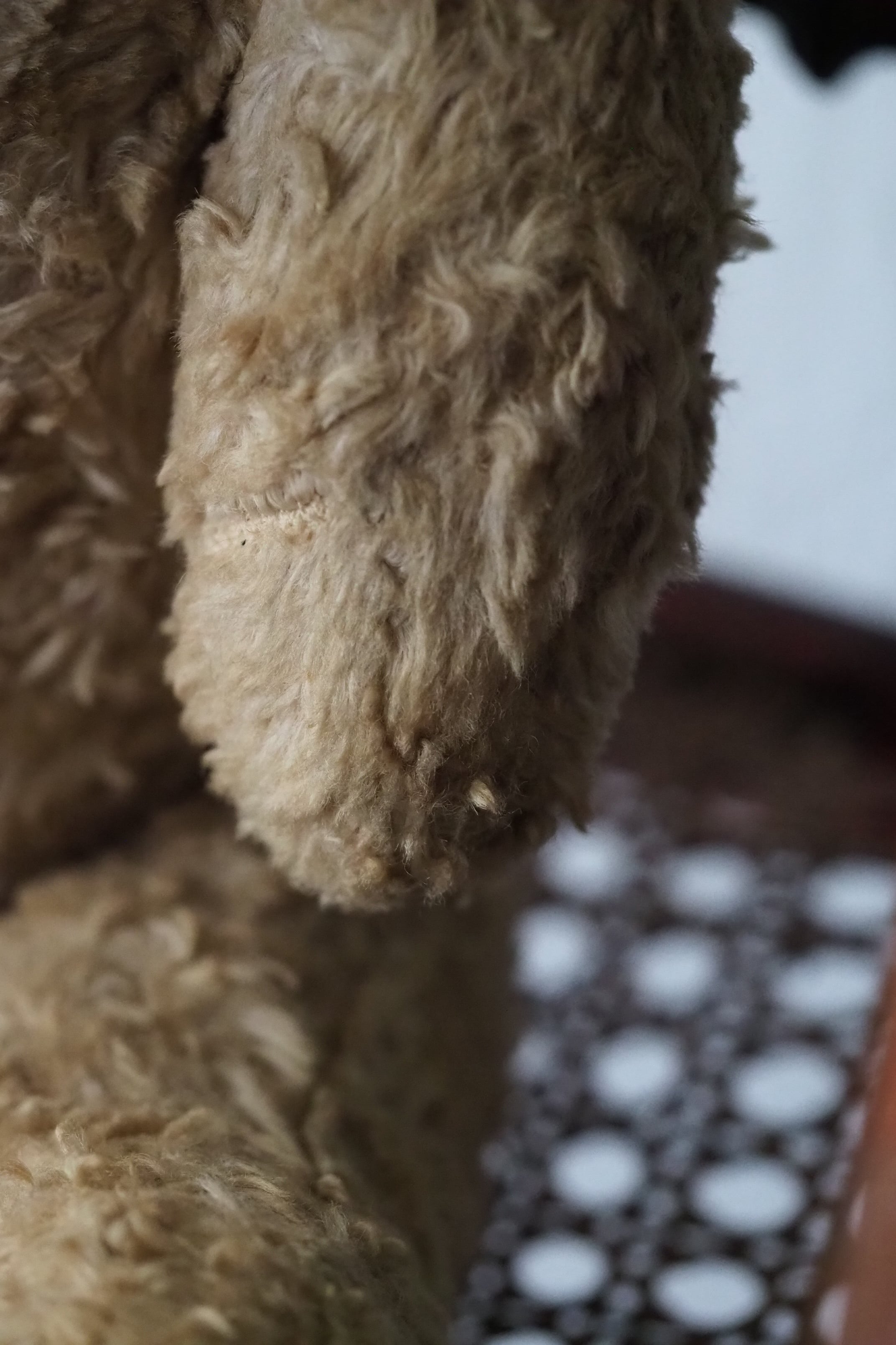 ボク2・5頭身ベア-vintage teddy bear | アンティーク