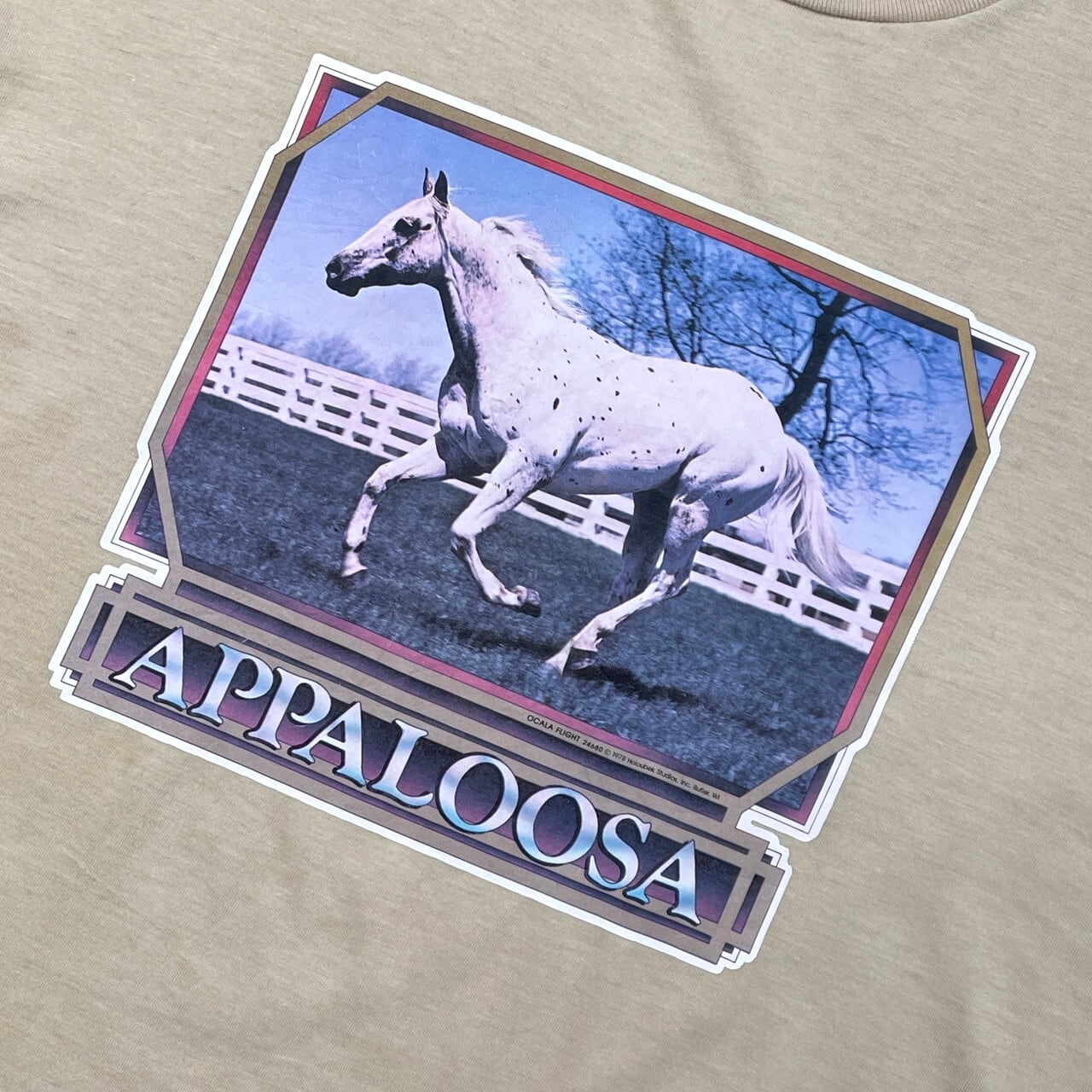 80年代 USA製 APPALOOSA 馬 フォトプリントTシャツ アニマル メンズXL