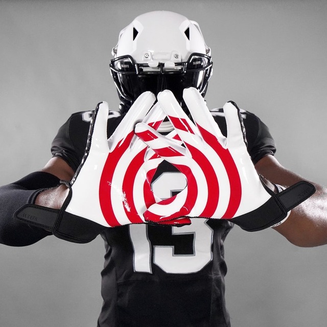 SLEEFS STICKY TARGET アメフト レシーバー グローブ