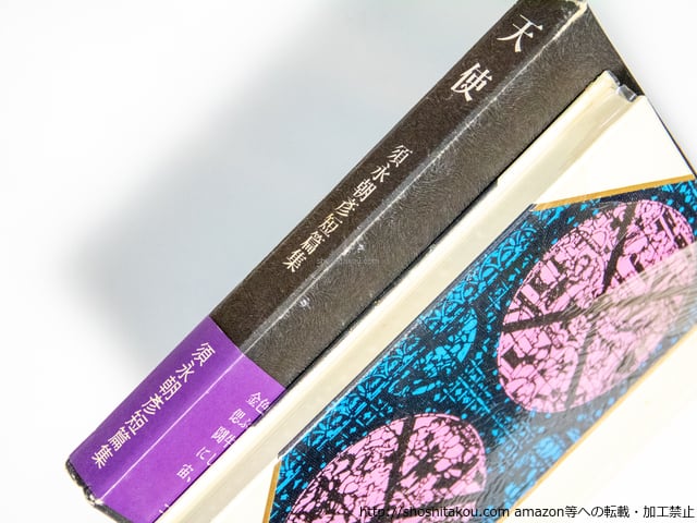 天使 須永朝彦短篇小説集 初函帯 署名入 / 須永朝彦 [38610][良好