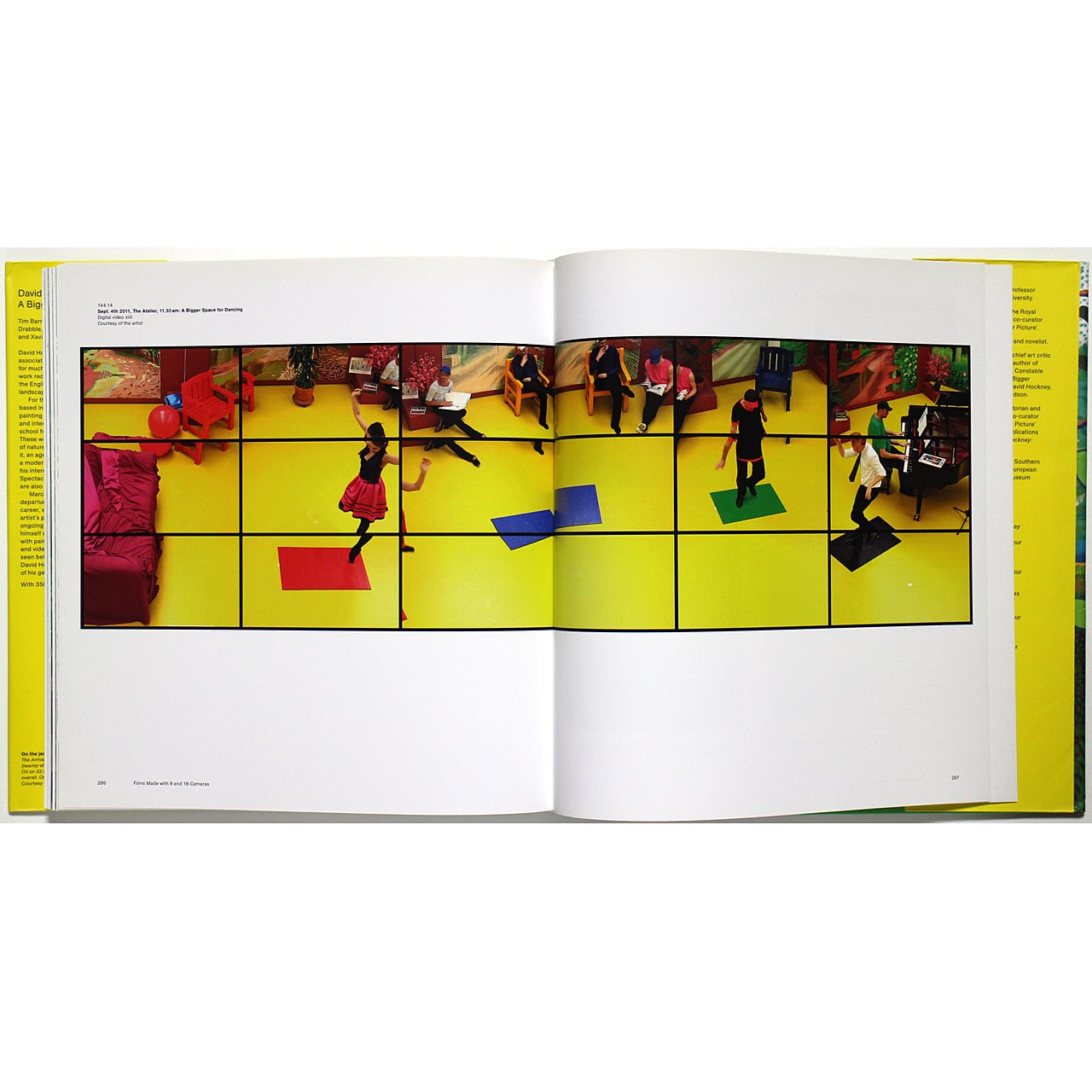David Hockney: A Bigger Picture デイヴィッド・ホックニー：ザ