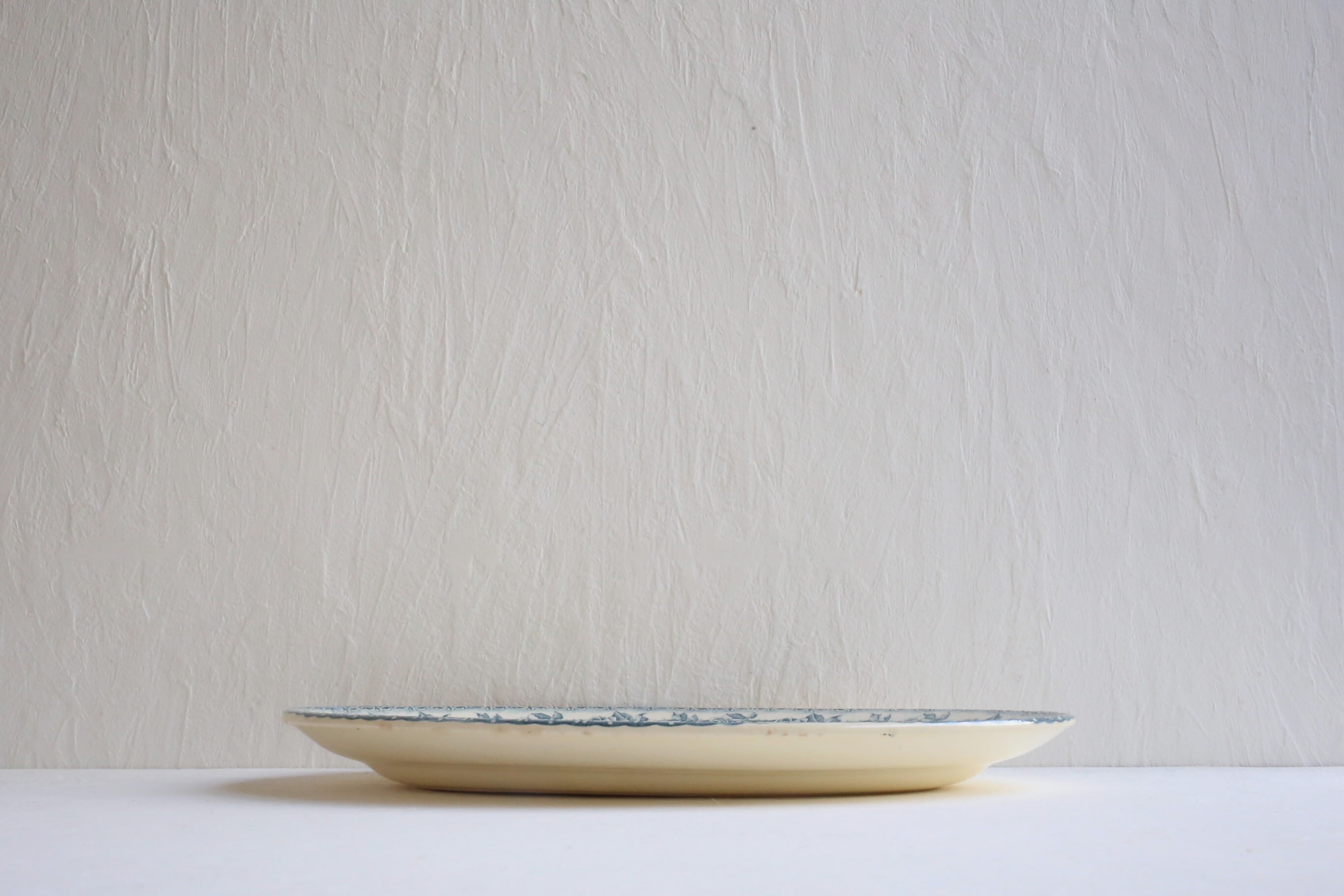 フランスアンティーク ショワジールロワ Paris プレート２枚セット フランス ショワジールロワ PARIS アンティーク プレート 平皿