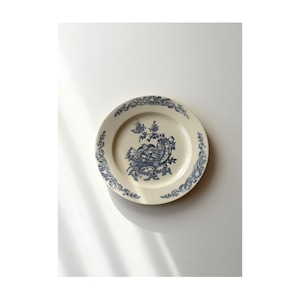 Clairefontaine クレールフォンテーヌ / “LOUIS XV” 平皿プレート b