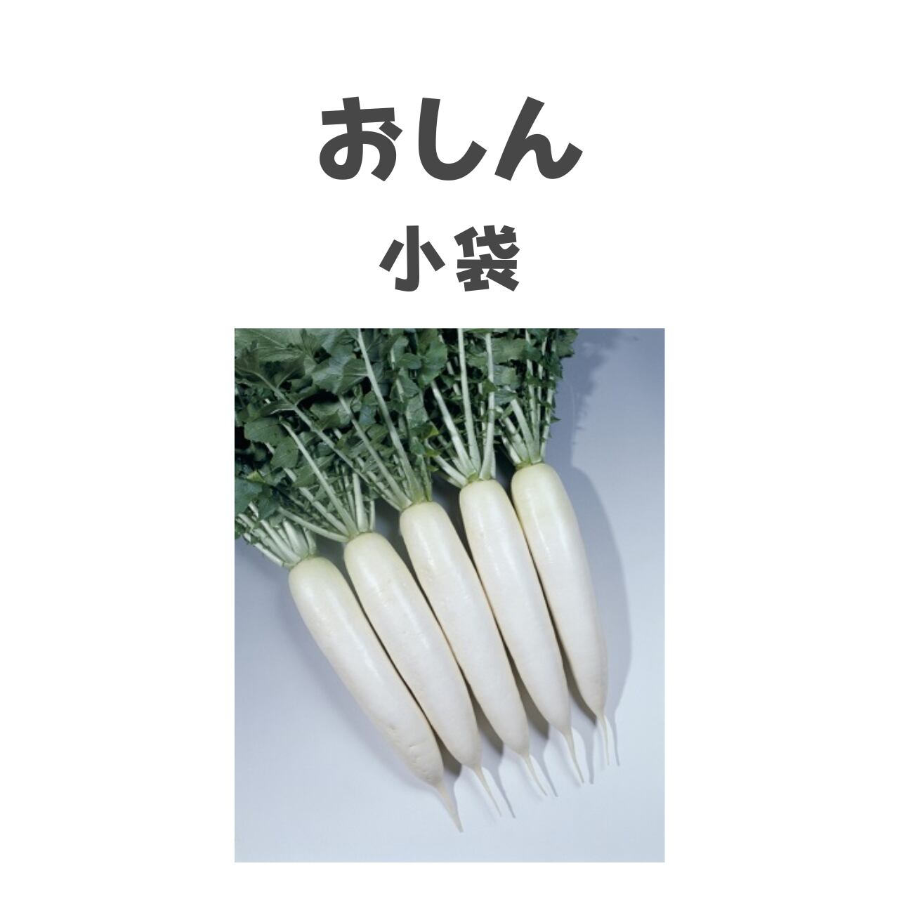 おしん ダイコン種子・RF小袋