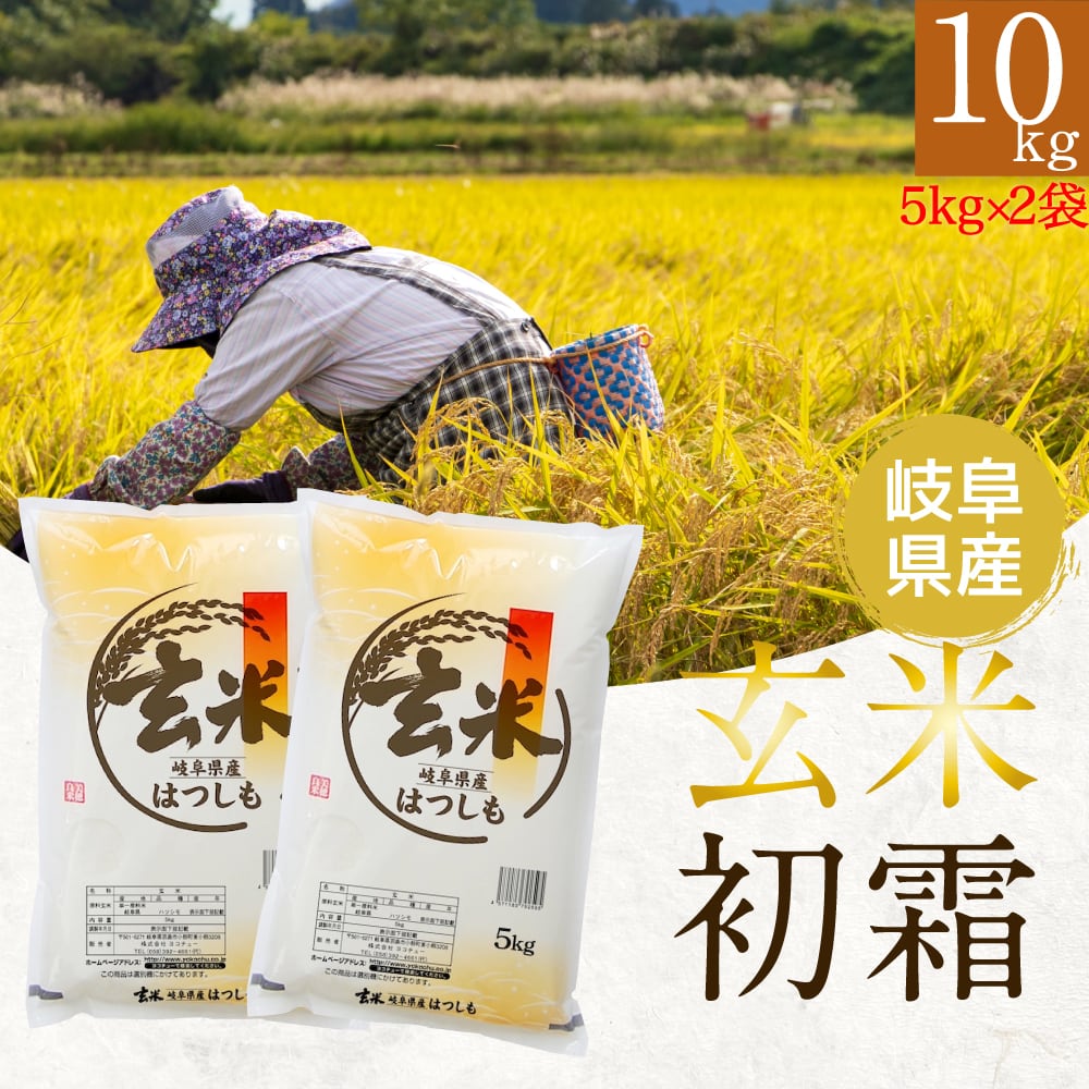 【玄米】幻の米！ 岐阜県ハツシモ 10kg (5kg 2袋)　通常栽培米【令和５年産】