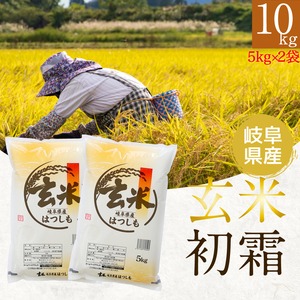 幻の米！玄米 岐阜県ハツシモ 10kg (5kg 2袋)　通常栽培米【令和５年産】