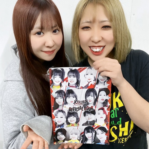 Ice Ribbon Pamphlet (1.27.2024 release)