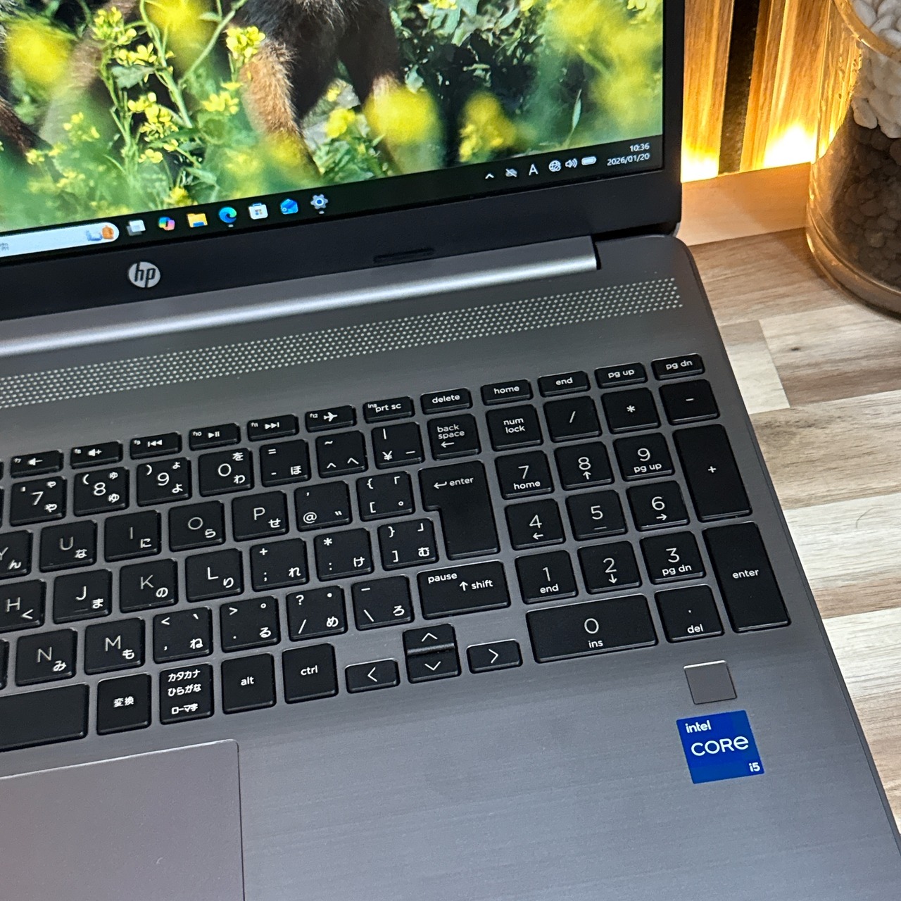 『おすすめ』HP 250 G9  i5第12世代  高性能  メモリ8GB  SSD256GB  FHD  人気ノートパソコン