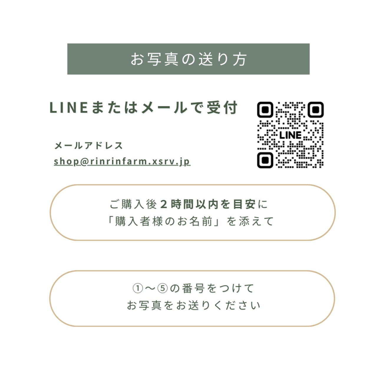 一升米｜写真入り ｜1歳誕生日ギフト｜2合×5個(10合)セット