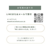 一升米｜写真入り ｜1歳誕生日ギフト｜2合×5個(10合)セット