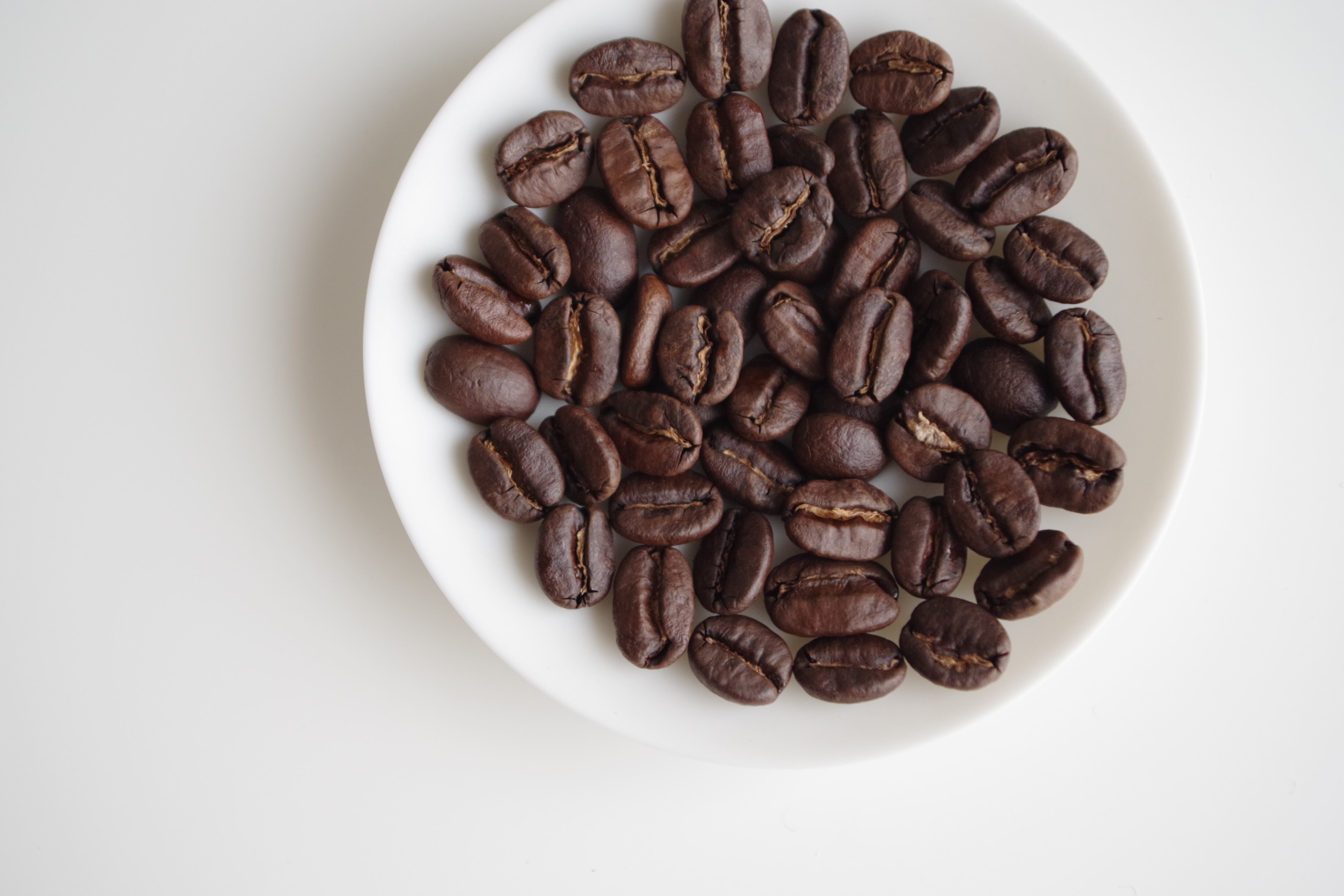 タンザニア キリマンジャロAA カラツ エステート(深煎り) 100g