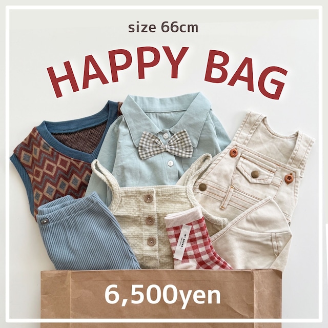 【即納】HAPPY BAG 66cm F010