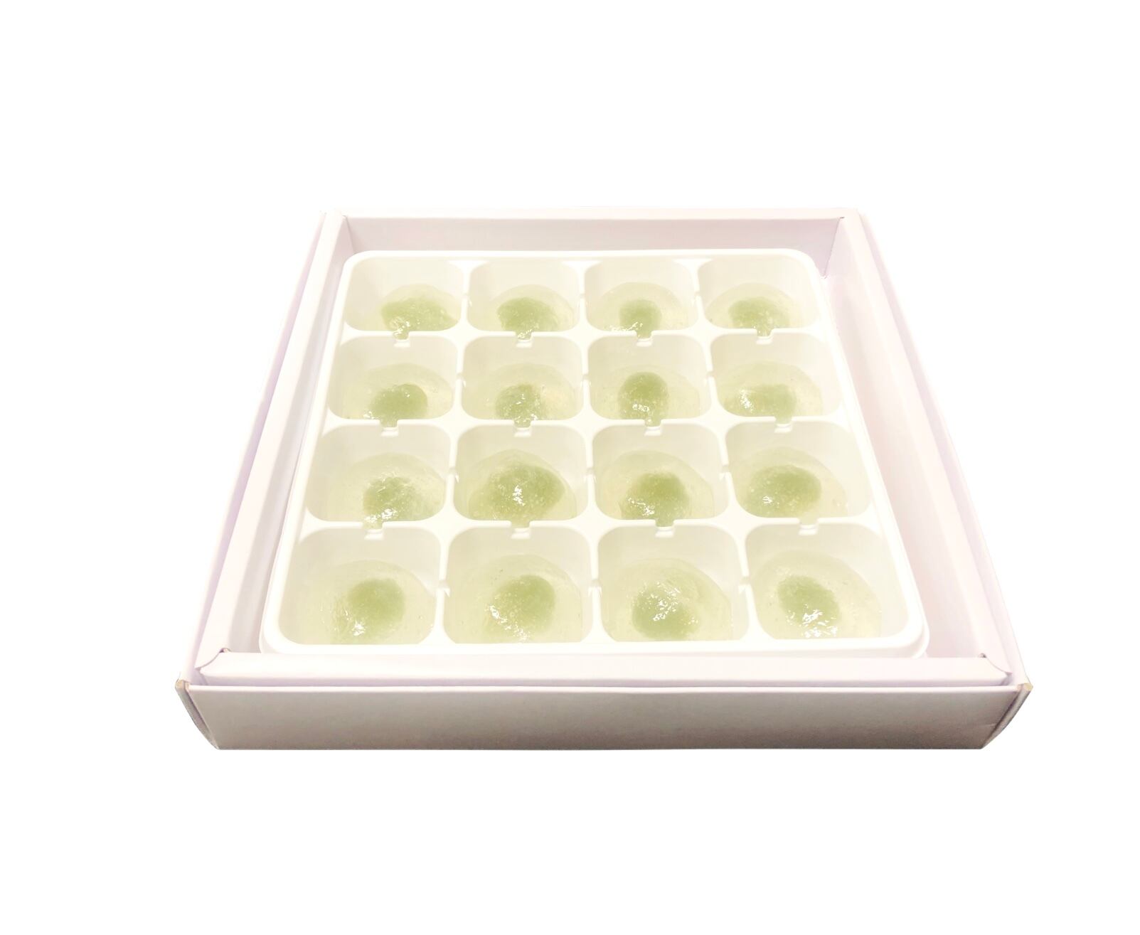 プレジャーフォレスト サイダーわらび餅 さがみ湖プレジャーフォレストonlineshop