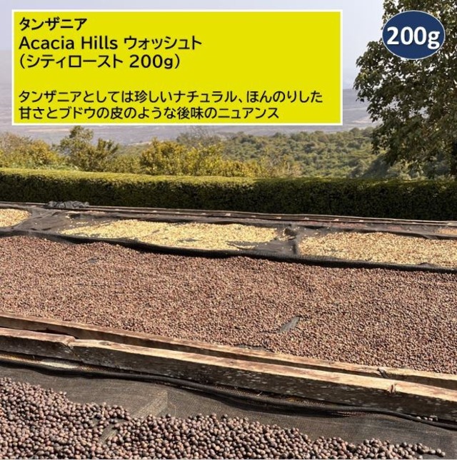 タンザニア・アカシアヒルズ・ナチュラル（シティロースト 200g）