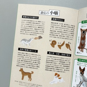 ZASSHU vol.5