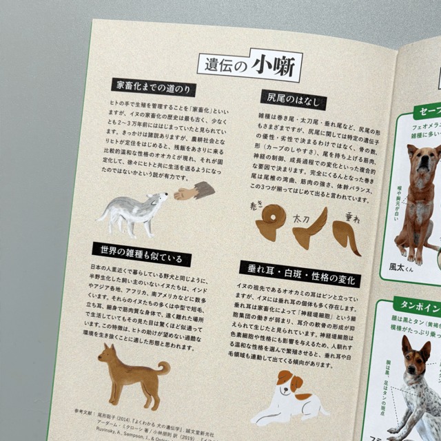 ZASSHU vol.5