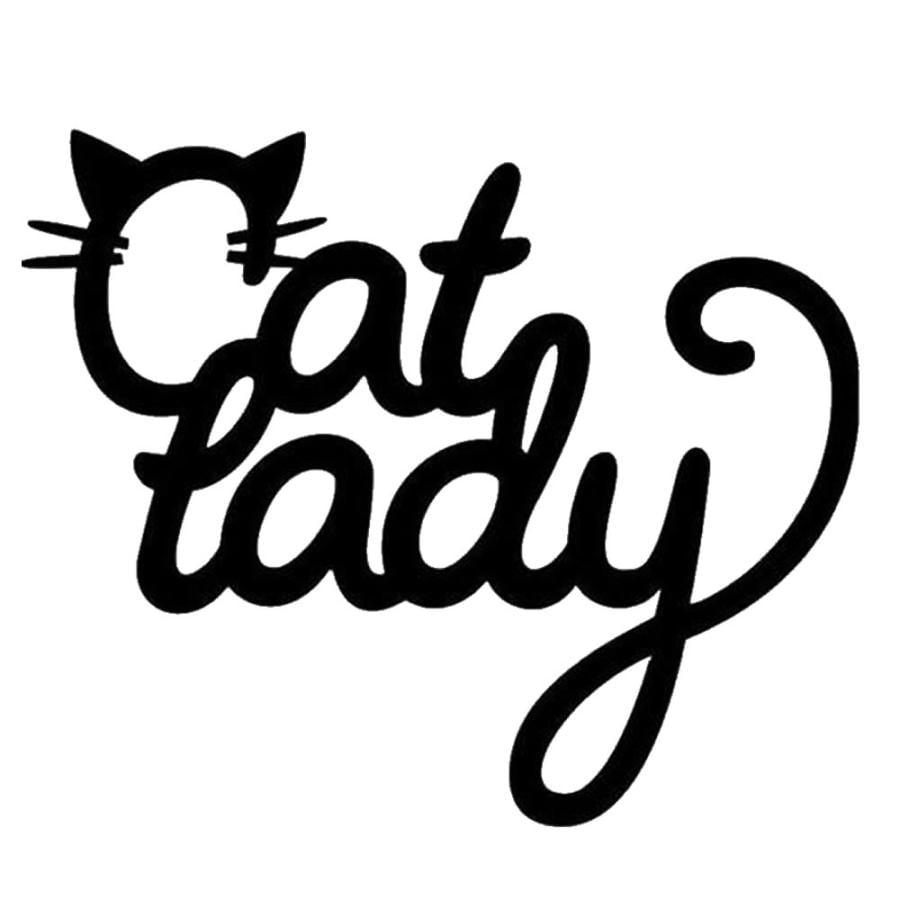 ホワイトホース　2.7L×5本 車 ステッカー 猫 ネコ CAT TODAY 愛猫 キャット 英語 英字 文字 給油
