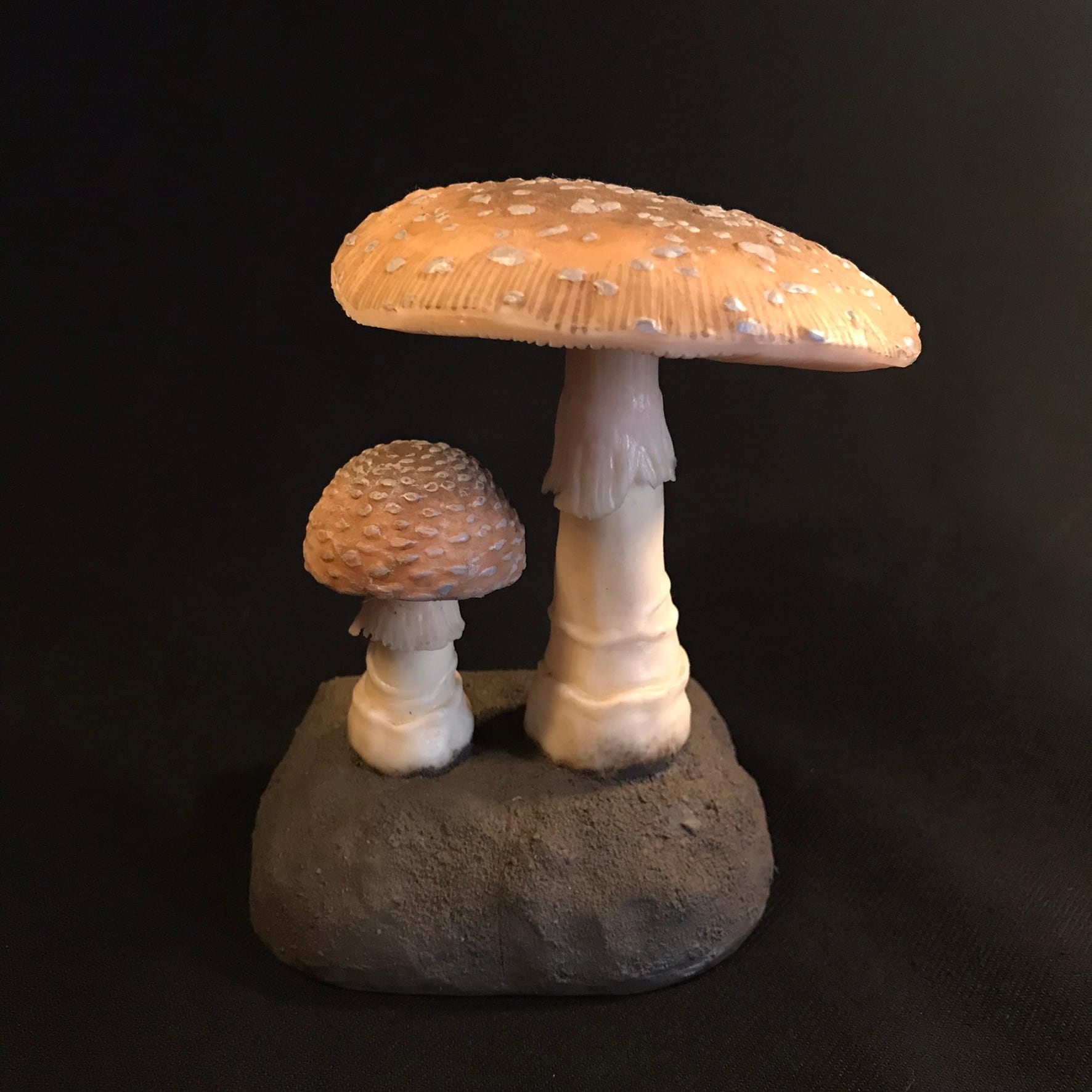 きのこ標本模型 【DEYROLLE】 | quelque jour（フランスアンティーク