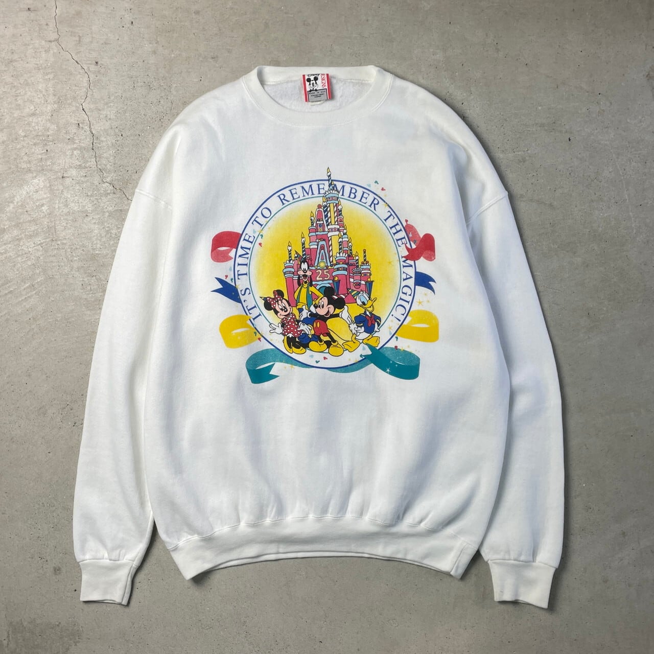 90年代 USA製 Walt Disney World 25周年 ディズニー スウェットシャツ 