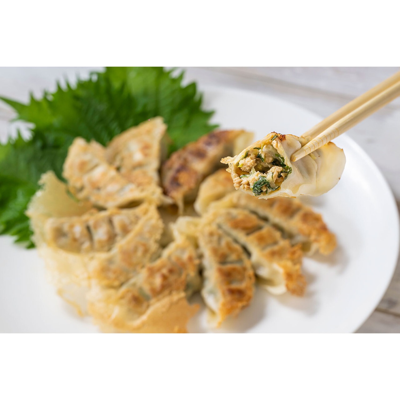 PEACE CAFE HAWAII ピースカフェハワイ  PEACEFUL GYOZA（ピースフル 餃子）プラントベース＆ヴィーガン 10個入×2パック