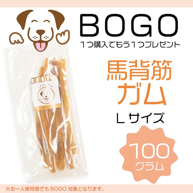 【BOGO】背筋ガムLサイズ100g (28.3.30)(1つ購入でもう1つプレゼント)