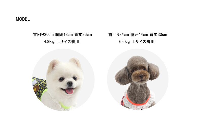 【SALE】アロハタンクトップ S ~ XL 2color  /  犬の服 犬服 ドッグウェア 型犬 中型犬 大型犬 ペット b25