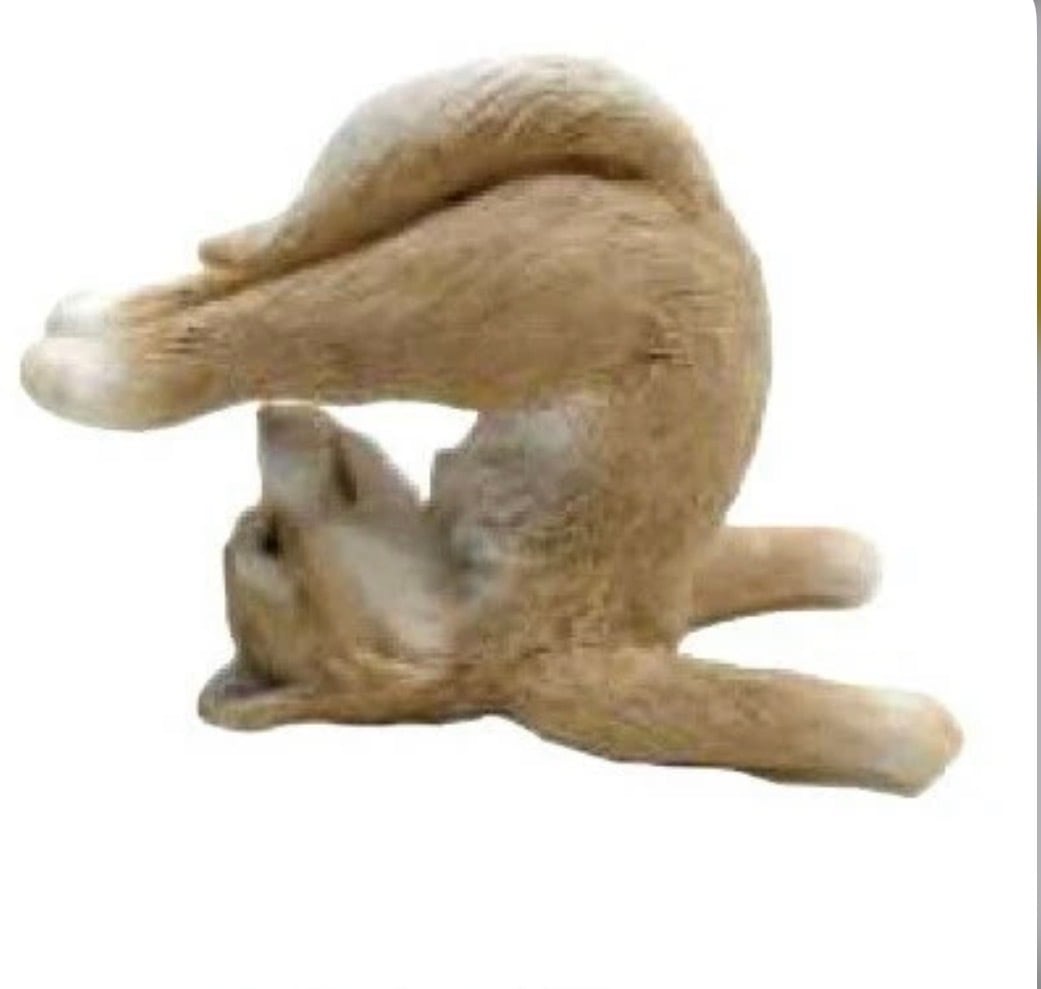 KEYSTON　ヨガアニマル シバ