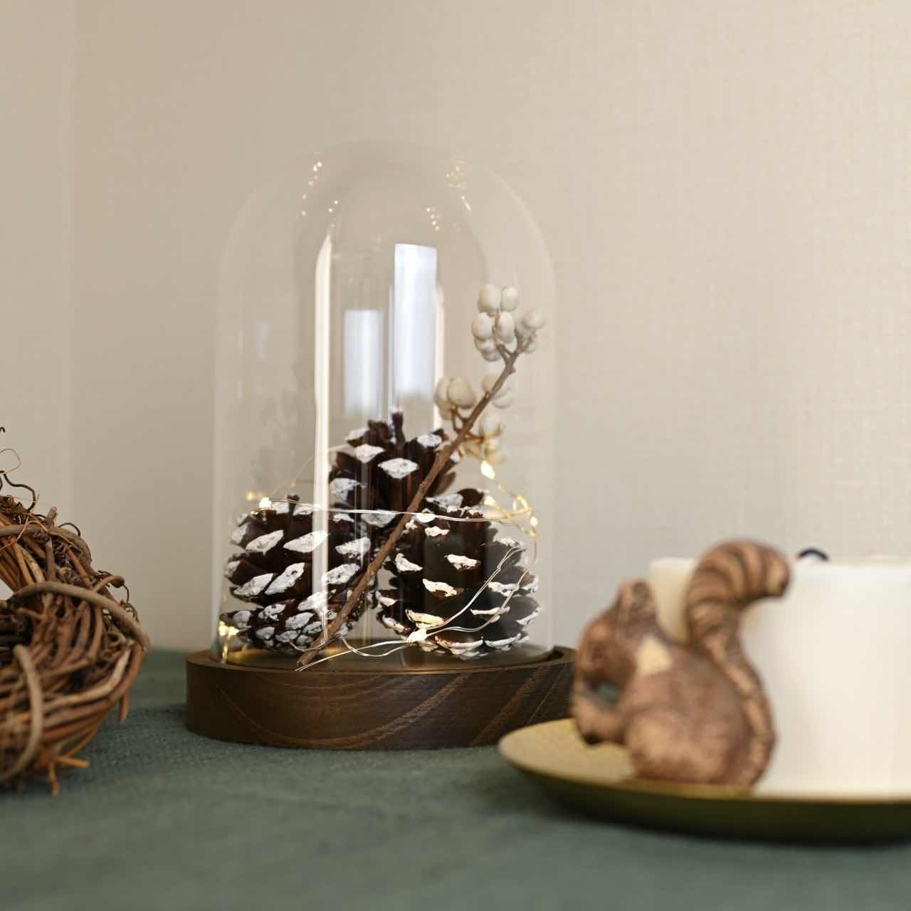 【 在庫限り 】ストリングライト ガラスドーム|コレクションケース ディスプレイ 間接照明 インテリア 雑貨店