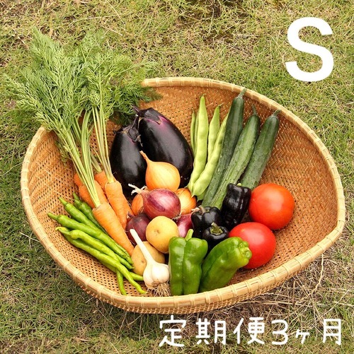 定期便＊月１回お届け３ヶ月コース【S】季節のお野菜おまかせボックスSサイズ