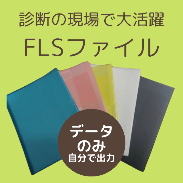 氣質診断の説明に〜FLSファイル