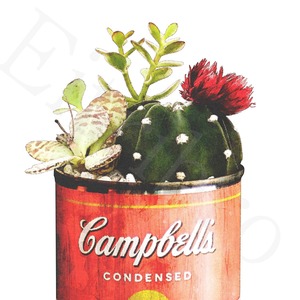 アートポスター / Cactus in the can [red]　eb169