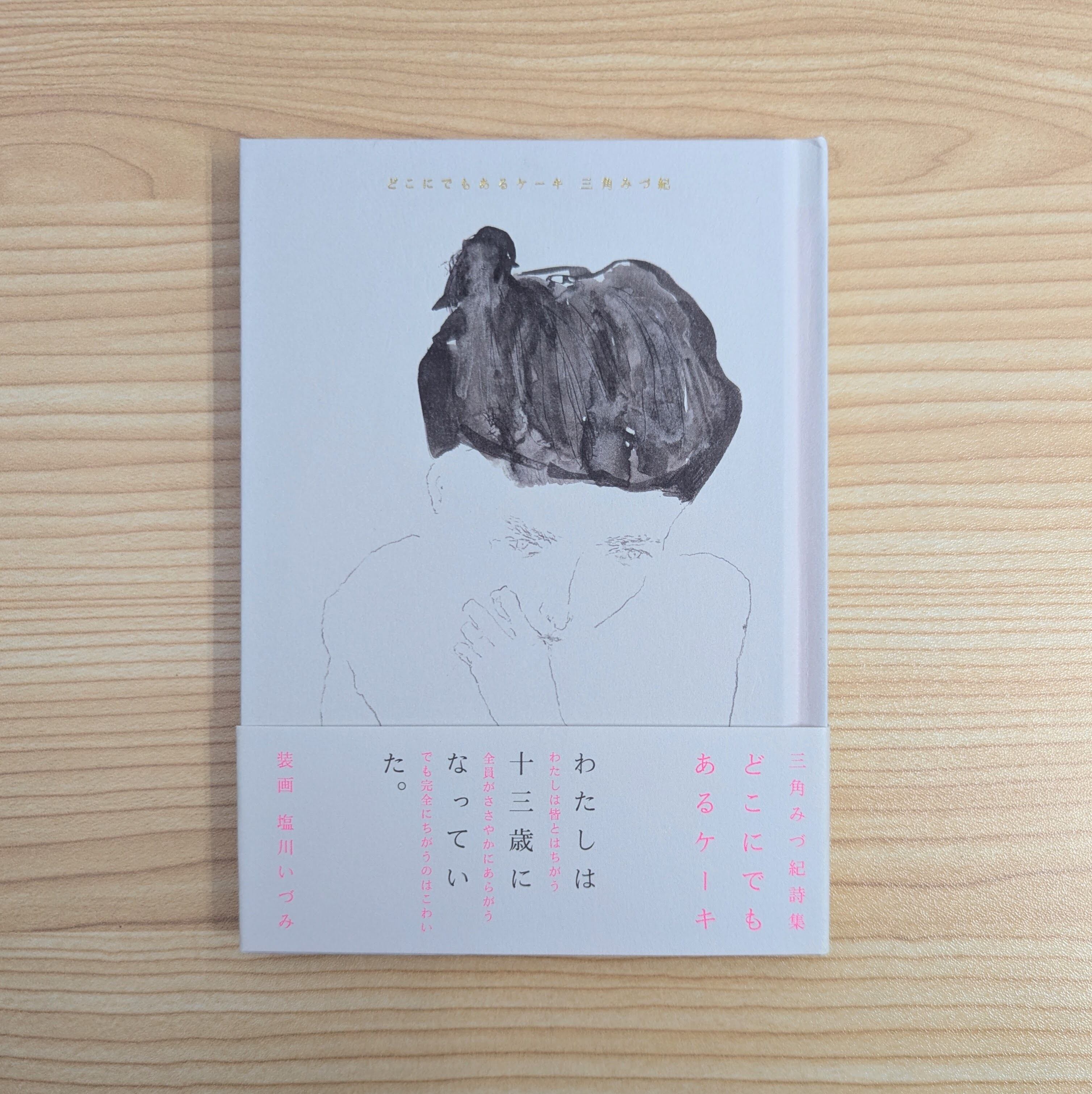 古本】ダイブ・イン・シアター｜柴田聡子 | 本屋・文日和