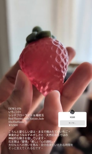 ⭔ お客様専用ページ ⭔ happydogkasumi様