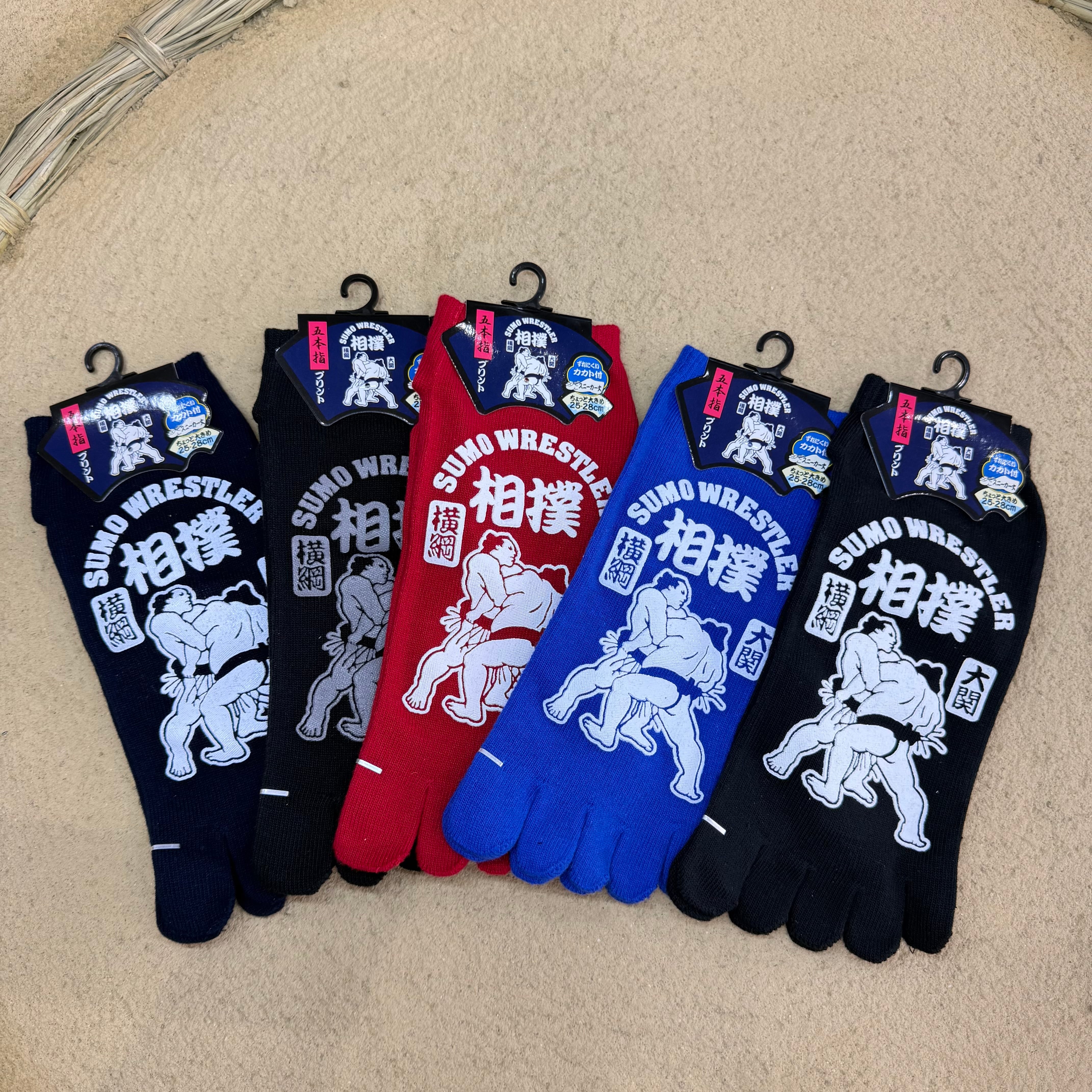 五本指相撲靴下-5色セット 25-28cm