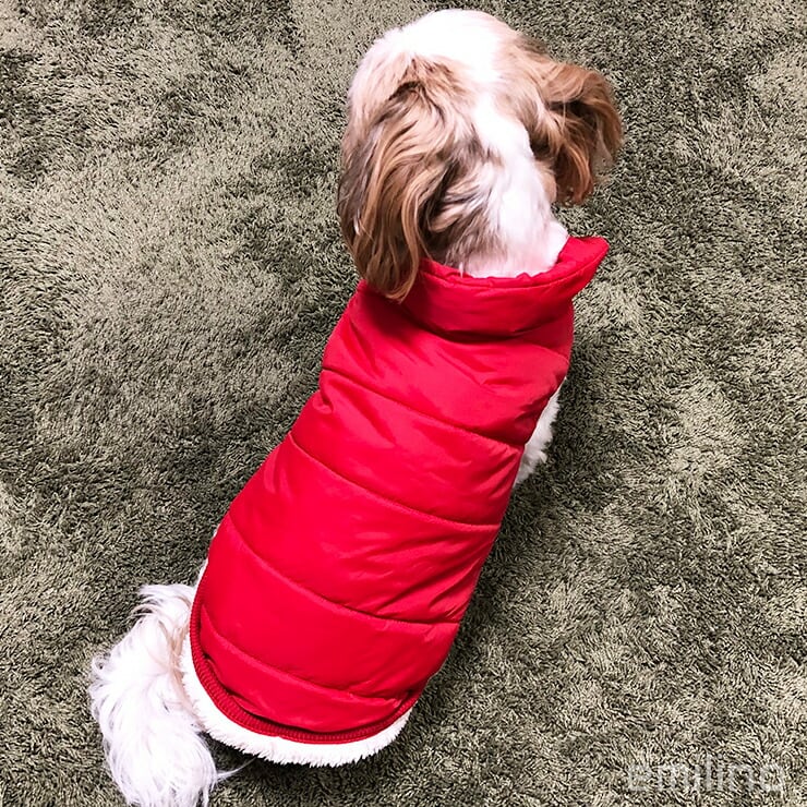 小型犬〜中型犬用 ダウン風ベスト 裏ボア あたたかい ドッグウェア