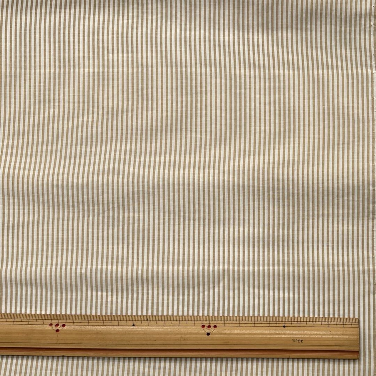 TC361◆2.5m◆M◆綿ポリエステル混さらっとシャリ感ブロード生地◆ストライプ