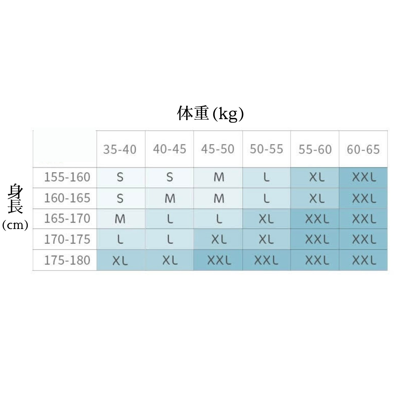 フレアスリーブ レオタード フレアニットパンツセット L1347