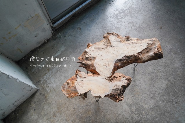 ポプラ瘤のローテーブル （高さ・カラー変更無料）