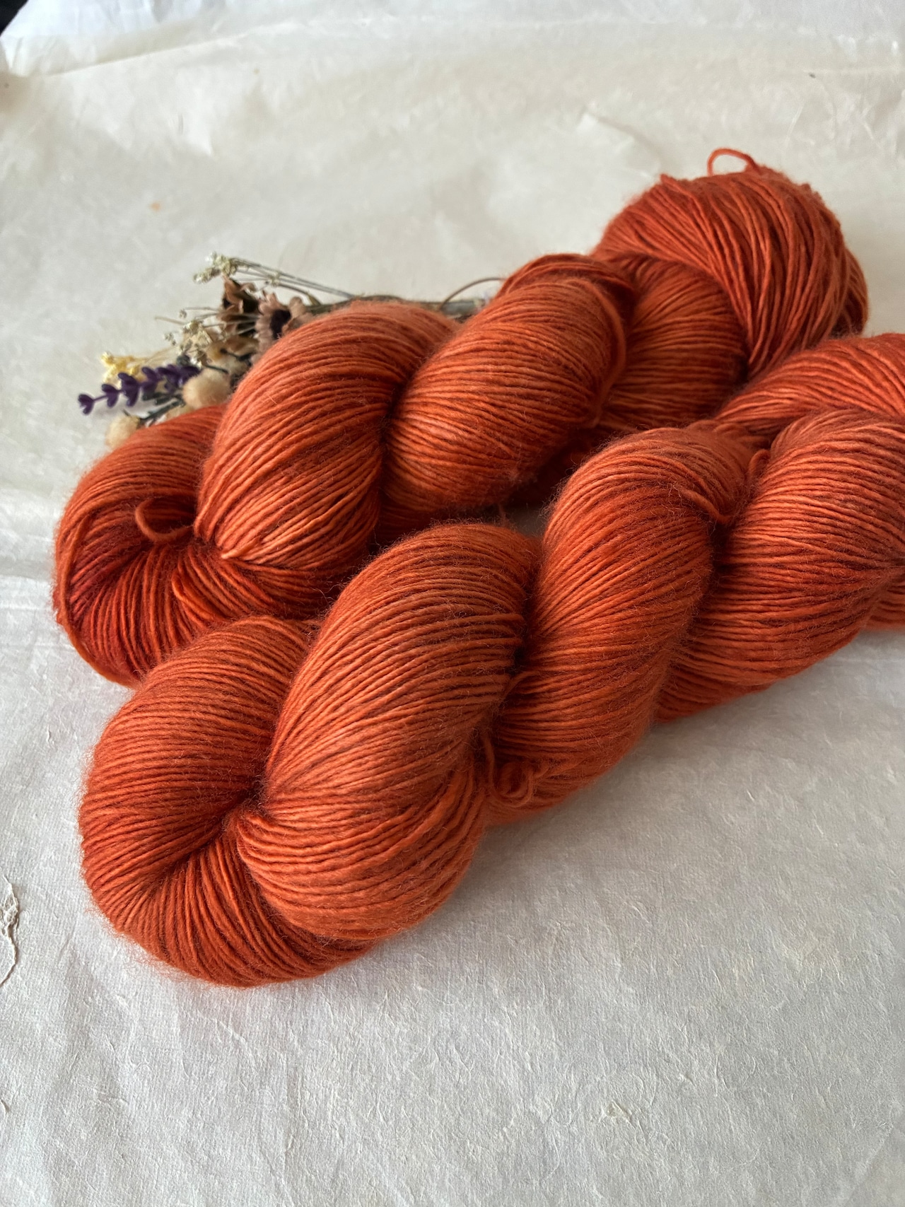 【受注販売: 10月中旬〜下旬に順次発送】枯葉色(meriyasu fingering, meriyasu sock, meriyasu BFL)・画像2
