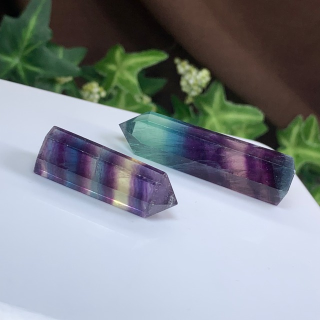 海のアニマル♪♪フローライトイルカのお家セット