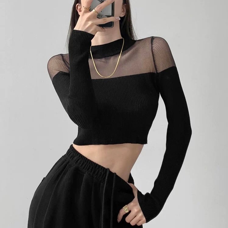 sheer monotone rib knit la0410