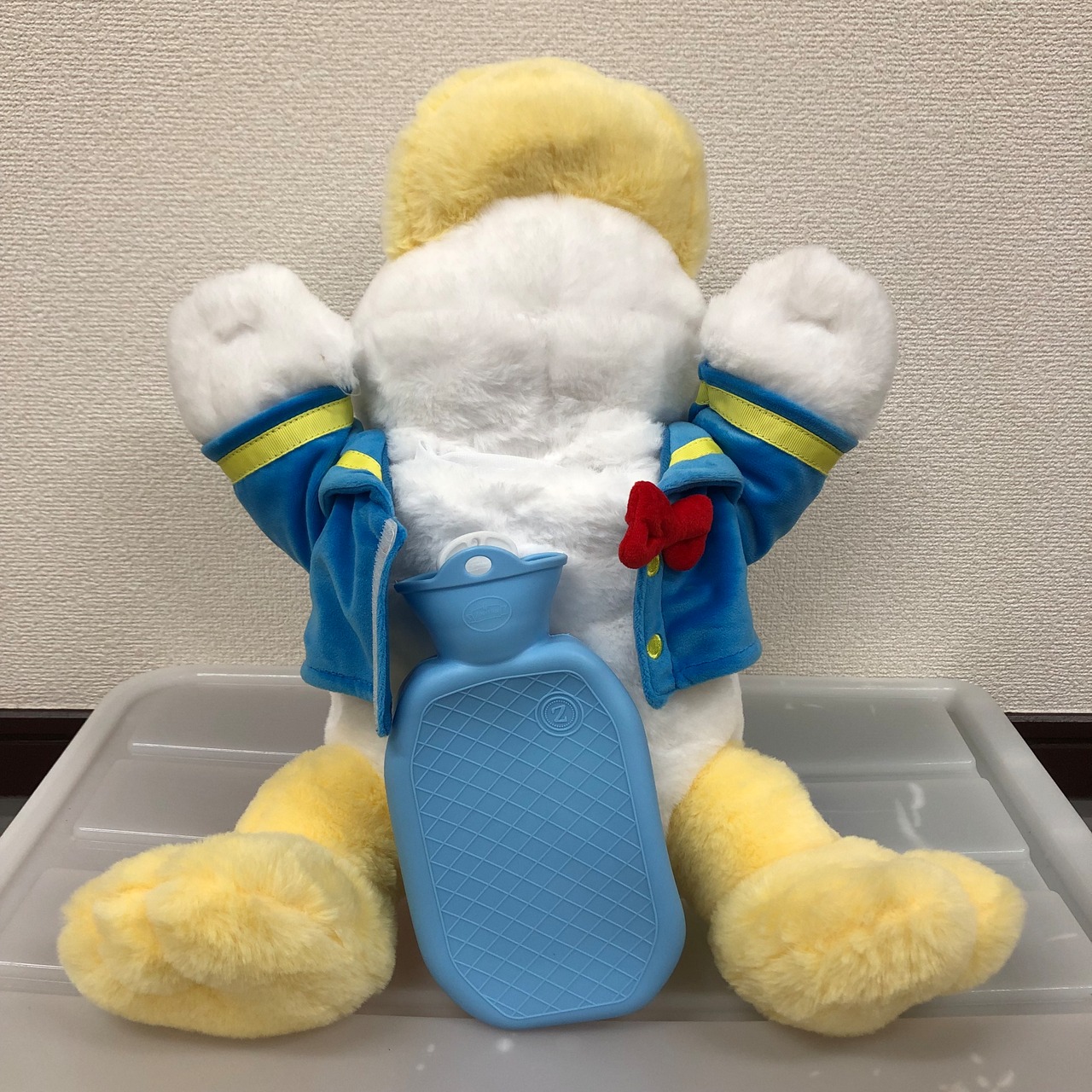 ディズニー湯たんぽ入り　ドナルド