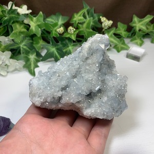 3.空色セレスタイトに住み着いているフローライトハリネズミさん