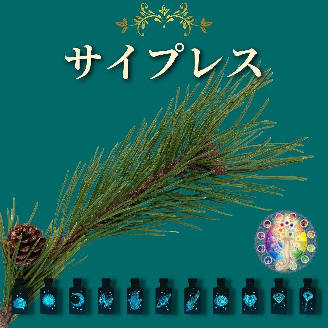 サイプレス【5ml】ミニサイズ