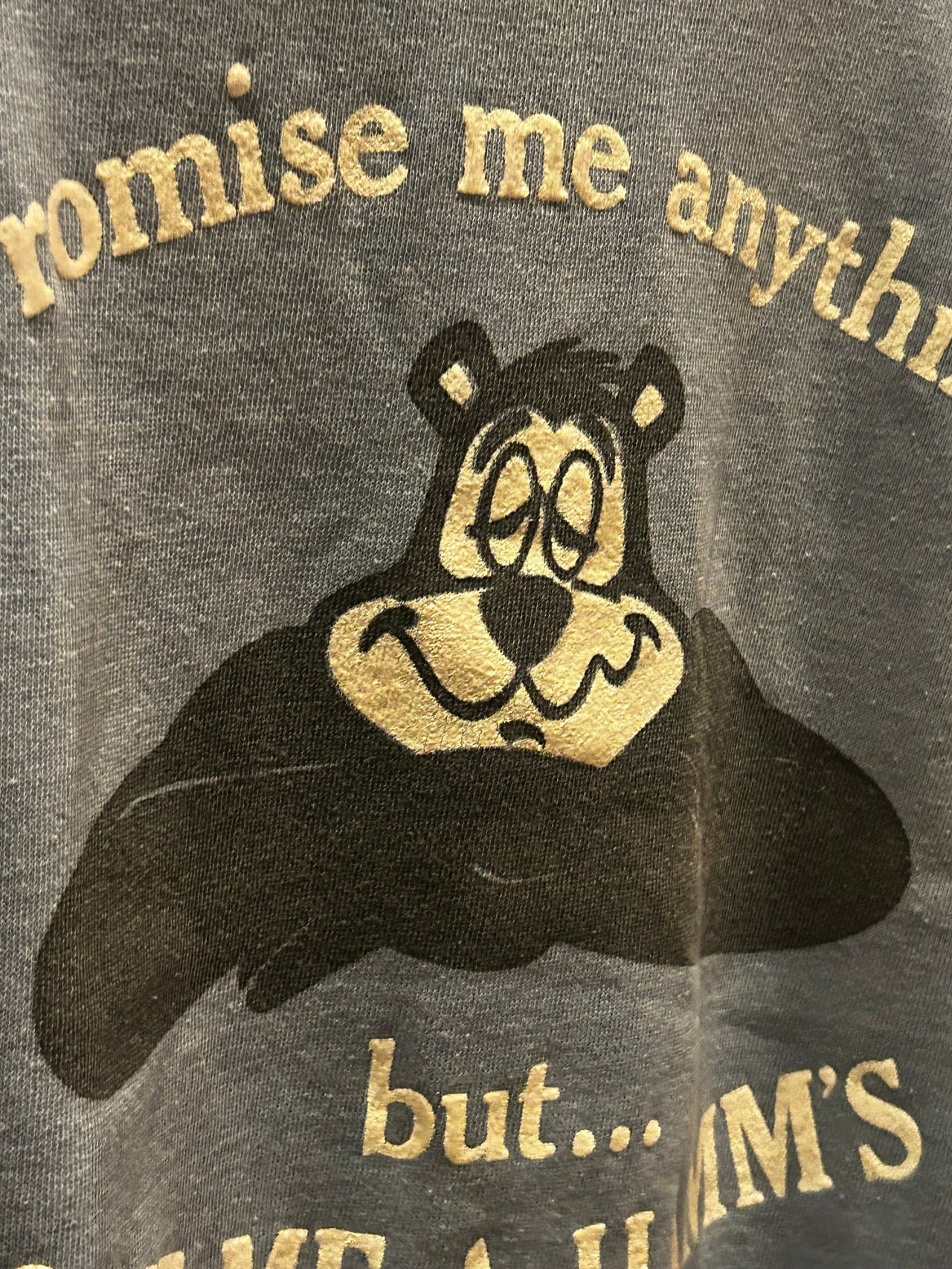 60's champion 半袖スウェット