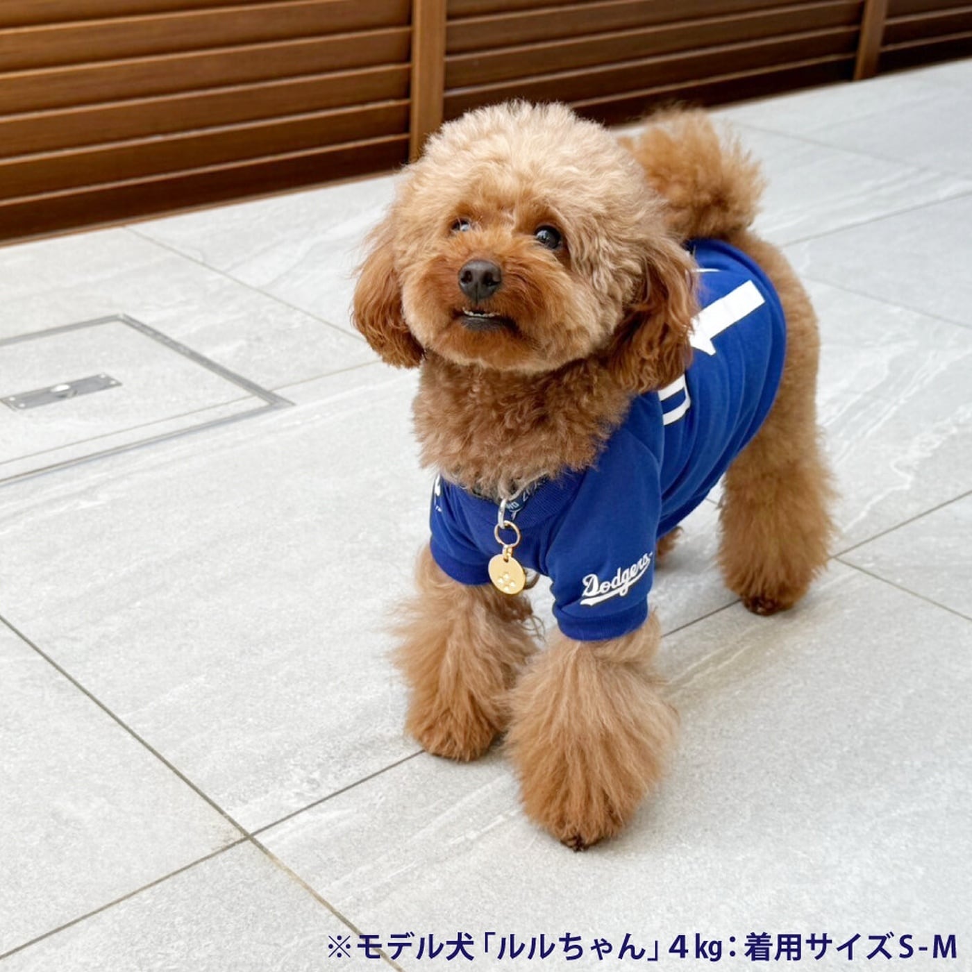 犬用Tシャツ Sサイズ｜MLB公式 ロサンゼルス・ドジャース 大谷翔平