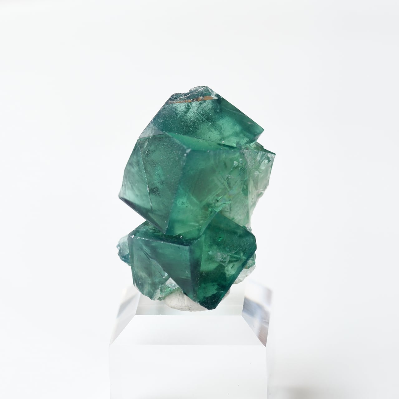 World Minerals 世界中の天然石・鉱物原石の販売店