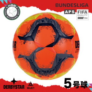 ダービースター DERBYSTAR サッカーボール Bundesliga Brillant APS  High Visible 5号球