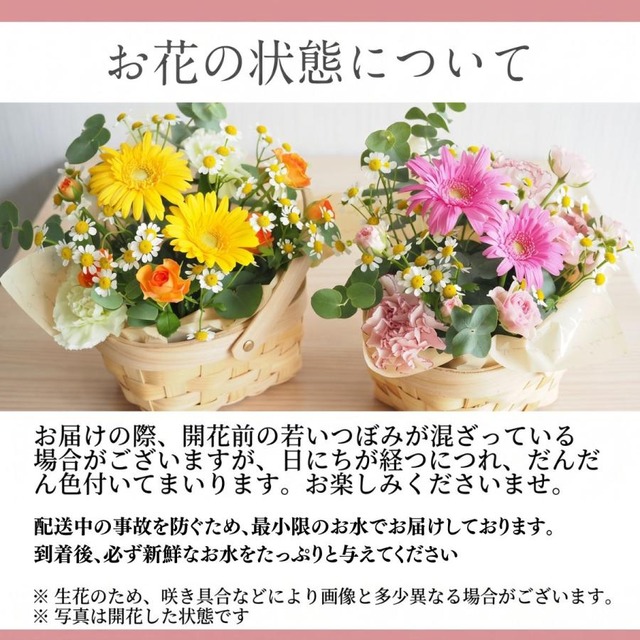 生花アレンジメント　Sサイズ