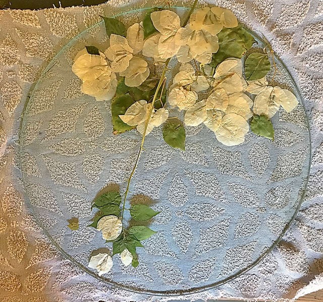 つづるガラスアート ブーゲンビリア 特大大皿－HAKU－